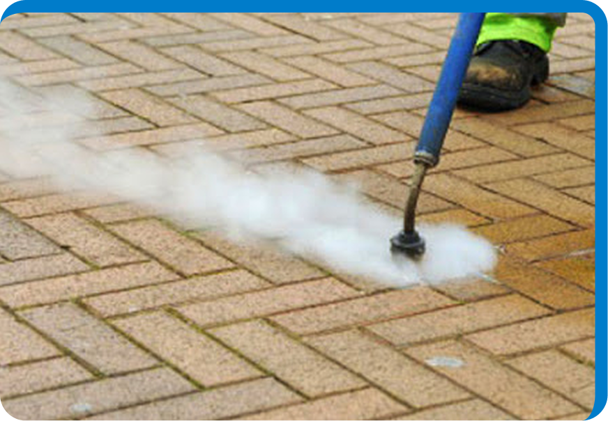 Gum Removal
